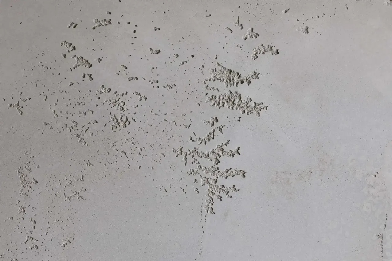 Beton dekoracyjny Venezia Design: jak uniknąć błędów w aplikacji