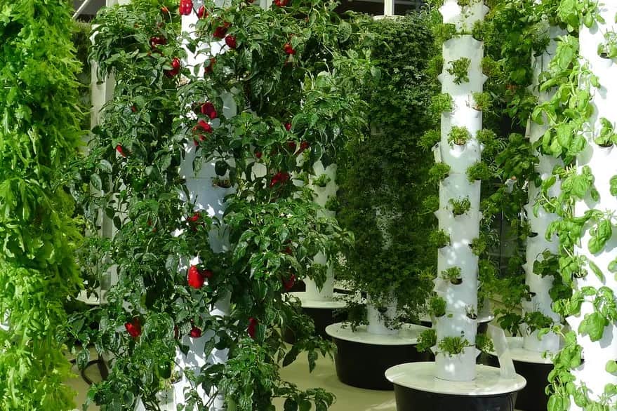 Jak zrobić kwietnik z rury PCV - łatwy sposób na piękne rośliny