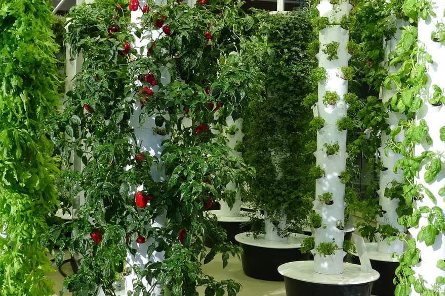 Jak zrobić kwietnik z rury PCV - łatwy sposób na piękne rośliny