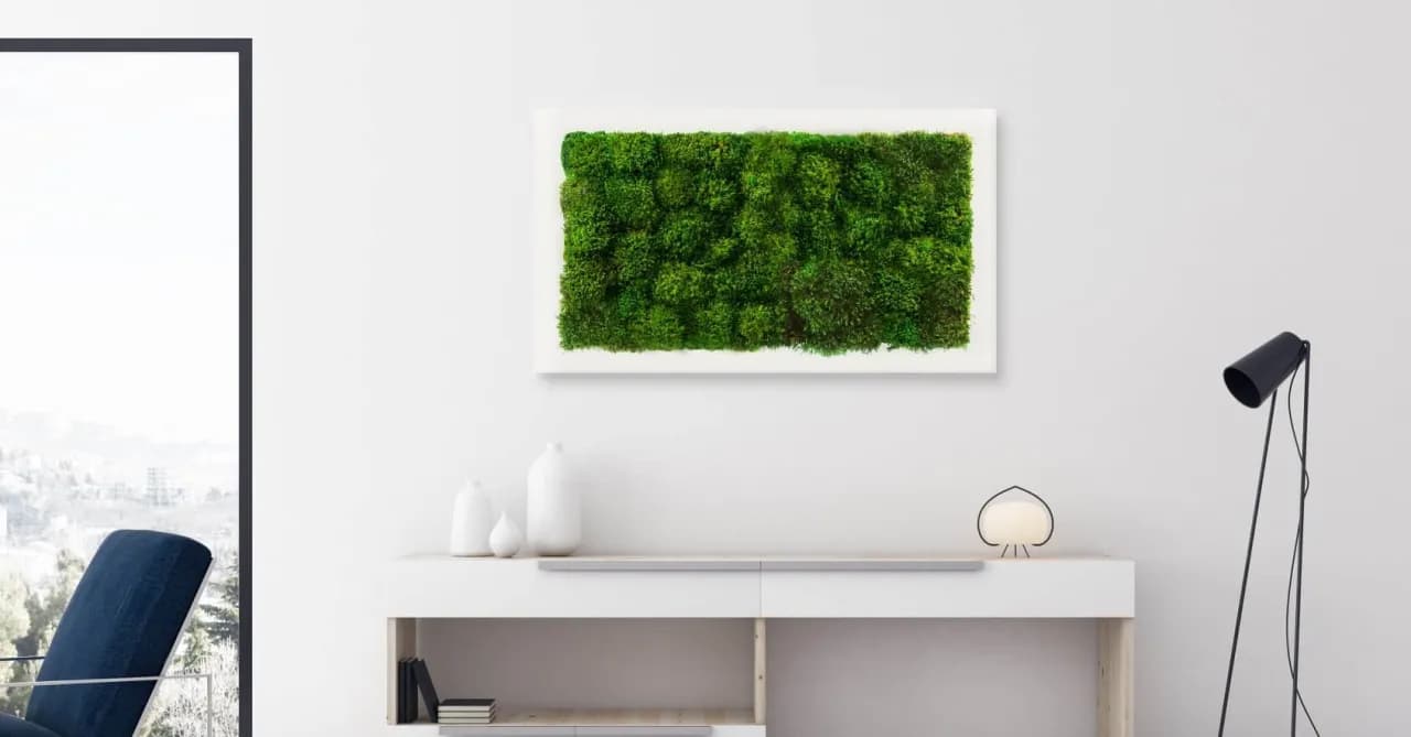 Jak dbać o mech dekoracyjny, aby długo zachował świeżość i urok