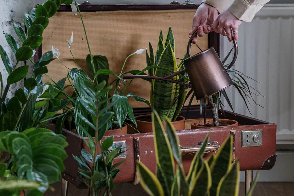 Jak zrobić kwietnik na działce - proste kroki i sprawdzone porady